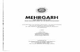 MEHRGARH - Harappa · 2019-12-17 · mehrgarh field reports 1974-1985 from neolithic times to the indus civilization the reports of eleven seasons of excavations in kachi district,