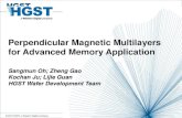 Perpendicular Magnetic Multilayers for Advanced Memory … · 2017-06-09 · PMA (Perpendicular magnetic anisotropy) is fundamental building block for memory devices. Tunneling magneto