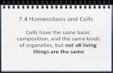 7.4$Homeostasis$and$Cells$ - North Medford High School ...northmedfordscience.weebly.com/uploads/1/2/7/1/12710245/b10vrv3074... · 7.4$Homeostasis$and$Cells$ Cells$have$the$same$basic$