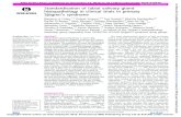 Standardisation of labial salivary gland histopathology in ... · Sebastian Costa,15 Hendrika Bootsma,16 Valerie Devauchelle-Pensec,17 Timothy R Radstake,18 Xavier Mariette,19 Andrea
