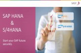 SAP HANA S/4HANA · Process for a secure migration to SAP HANA DB Process for secure operations of S/4HANA AGENDA - SAP HANA & S/4HANA - 5 - Decision SAP Business Suite vs. S/4HANA
