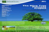 The Silva Tree Princess Project - redd-monitor.org · Paulownia LLC, if the investor wishes to take this option. A 5-year old Paulownia tree produces at least 0.2m3 of processed wood.