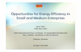 Opportunities for Energy Efficiency in Small and Medium … · Opportunities for Energy Efficiency in Small and Medium Enterprises Girish Sethi TERI, New Delhi Sixth International