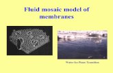 Fluid mosaic model of membranes - vscht.czold-biomikro.vscht.cz/vyuka/psychro/Prague_Membrane... · 2012-04-16 · Fluid mosaic model of membranes Water-Ice Phase Transition. Membrane