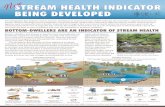 NEW STREAM HEALTH INDICATOR BEING DEVELOPED · Foreman K, Buchanan C, Nagel A (2008) Development of ecosystem health indexes for non‒tidal wadeable streams and rivers in the Chesapeake
