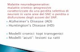 Alzheimer’s Disease (AD) Huntington’s Disease (HD)...Alzheimer’s Disease (AD) Huntington’s Disease (HD) Modelli cronici: topi transgenici Modelli ‘acuti’: lesioni su ratti