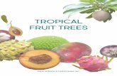 TROPICAL FRUIT TREES - Kauai Nursery & Landscapingkauainursery.com/images/fruitbook.pdf7 TREE SIZE A small, bushy tree (available on standard, semi-dwarf and true dwarf rootstock).