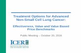 Treatment Options for Advanced Non-Small Cell Lung Cancer · Treatment Options for Advanced Non-Small Cell Lung Cancer: Effectiveness, Value and Value Based ... • Daniel A. Goldstein,