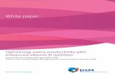 Whitepaper HyD: Optimizing swine productivity - DSM · Optimizing swine productivity with enhanced vitamin D nutrition Antoine Meuter, Category Manager EMEA, DSM Gilberto Litta, Global