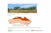 Australian tropical savanna ¢â‚¬â€œ Information sheet ... Microsoft Word - Australian tropical savanna ¢â‚¬â€œ