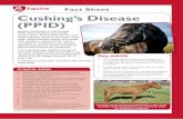 Fact Sheet ChokeCushing’s Disease (PPiD)dendi.xlvets.co.uk/.../files/factsheet-files/...Disease-PPID-Factsheet.pdf · (PPiD) a horSe DeveloPing an abnormal Coat that iS Curly anD