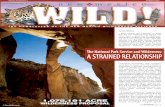 NATIONAL, The National Park Service and …... see NATIONAL, pg. 14 by Jim Walters Most people are surprised to learn that the U.S. National Park Service has never been a great fan