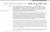 Antibacterial activity and effect on gingival cells of ... · Antibacterial activity and effect on gingival cells of microwave-pulsed non-thermal atmospheric pressure plasma in artificial