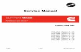 Service Manual - Skilled Crafting Onan HGJAA to HGJAF (spec A... · v Safety Precautions Thoroughly read the OPERATOR’S MANUAL before operating the genset. Safe operation and top
