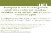 Investigation of brain tissue oxygenation, cytochrome-c-oxidase … · 2018-05-03 · Investigation of brain tissue oxygenation, cytochrome-c-oxidase and intracellular metabolites