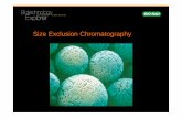 Size Exclusion Chromatography - Zhejiang Universitym- Size Exclusion Chromatography ¢â‚¬¢ The mass of