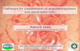 Pathways for transmission of angiostrongyliasis and ... Cowie Angio Workshop.pdfPathways for transmission of angiostrongyliasis and associated risks Robert H. Cowie Pacific Biosciences