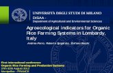 Agroecological indicators for Organic Rice Farming Systems ...Agroecological indicators for Organic Rice Farming Systems in Lombardy, Italy Andrea Porro, Roberto Spigatolo, Stefano