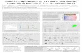 Genomic co-amplification of TPX2 and AURKA with MYC ... · Genomic co-amplification of TPX2 and AURKA with MYC cooperatively promote MYC-driven carcinogenesis Yusuke Takahashi 1,3,