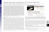 Single-molecule mechanics of mussel adhesion · 2017-10-15 · Mytilus edulis foot protein; F–D, force–distance. ... Fig. 1. Biodistribution and amino acid composition of mussel
