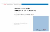 Public Health Agency of Canada...Public Health Agency of Canada (the Agency) was created within the federal Health Portfolio to deliver on the Government of Canada’s commitment to