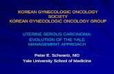 TREATMENT OF EARLY STAGE UTERINE PAPILLARY SEROUS …sgo.or.kr/conference/PDF/27/sy_08.pdf · 2012-05-15 · KOREAN GYNECOLOGIC ONCOLOGY SOCIETY KOREAN GYNECOLOGIC ONCOLOGY GROUP
