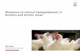 Measures to control Campylobacter in broilers and broiler meat · Campylobacter in broilers and broiler meat. 6 DTU Food, Technical University of Denmark EFSA Scientific Colloquium