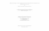 Effect of Oxygen on the Competition between Pseudomonas ... · Effect of Oxygen on the Competition between Pseudomonas aeruginosa and Staphylococcus aureus by ... transcription factor,