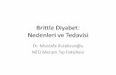 Brittle Diyabet: Nedenleri ve Tedavisi - Türk Diabet Cemiyeti · 2016-06-27 · A.Ç. •20 y, K •11 yaşından beri tip 1 DM •İlk 2 yıl iyi kontrol sağlanabilirken, sonrasında