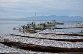 The case of Seasonal Closure for Sardine Fishery · The case of Seasonal Closure for Sardine Fishery in the Visayan Sea, Philippines . Ruby P. Napata, Liberty N. Espectato and Genna