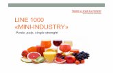 LINE 1000 «MINI-INDUSTRY»...PROCESS OF DIFFERENT TYPES OF FRUIT Fruitswith stone • mango, peach, apricot, Fruits withoutstone • guava, apple, pear, passion fruit Fruitswith thickpeel