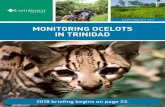 MONITORING OCELOTS IN TRINIDAD - Earthwatch Instituteearthwatch.org/briefings/web-earthwatch-monitoring-ocelots-trinidad-2017-2018.pdfMONITORING OCELOTS IN TRINIDAD 2017 5 RESEARCH