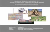 Challenges and Future Perspectives for Tourism Development ... · Challenges and Future Perspectives for Tourism Development in The Central Rift Valley, Ethiopia A. Kauffmann, August
