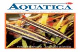 Aquatica MAR-APR 2018 · aquatica vol. 31 march ~ april 2018 no. 4 1 107 years of educating aquarists contents page 2 the aquatica staff page 3 calendar of events. bas events for