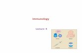 Immunology - جامعة الملك سعودfac.ksu.edu.sa/sites/default/files/immunology.lecture-_4.pdfActivation B cells and antibody production • Once B cell encounters a specific