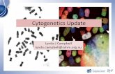 Cytogenetics Updatehaematology.org.my/afh2010/slides/16b.pdf · • Deletion of 13q observed in 20% by CC and 50% by FISH • An IGH translocation at 14q32 with an oncogene observed