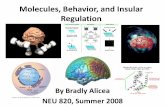 Molecules, Behavior, and Insular Regulationaliceabr/mol_behav_insular_reg.pdf · * tetanic stimulation of BLA pathways into insula induced a stable potentiation * blockade of NMDA