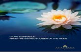 DRAW INSPIRATION FROM THE SACRED FLOWER OF THE …ROYAL THAI MASSAGE (90 Minutes) Revitalising and deeply therapeutic, this regal massage incorporates acupressure techniques and works