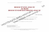 HISTOPATHOLOGY manuscript) AND (non-edited HISTOLOGYskeletal muscle, muscle fiber types, single muscle fiber proteomics, mass spectrometry ... proteins or mitochondria, and the analysis