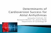 Jacquelyn Kulinski, R2 Research Mentor: Dr. Jeanne Poole … · 2012-01-30 · underwent elective DC cardioversion for atrial arrhythmias between 6/2004 to 12/2008 Records identified