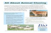 Animal cloning offers great benefits · Animal cloning offers great benefits to consumers, farmers, and endangered species: Cloning allows farmers and ranchers to accelerate the reproduction