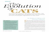 The Evolution of Cats - Bio Nicabrien2007EvolutionCats.pdf · ordering cat species in as few as two to as many as 23 genera. Who could argue? Under the skin, one cat species appears