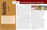 Volume 2, Number 6 Newsletterissi.org.pk/wp-content/uploads/2018/07/Newsletter_June_2018.pdf · suggested Sajjad Syed. Easypaisa can be expressed as a product-based company while
