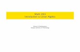 Math 1553 Introduction to Linear Algebrapeople.math.gatech.edu/~dmargalit7/classes/math1553Fall2017/slides/08-21.pdf · I About half the material focuses on how to do linear algebra