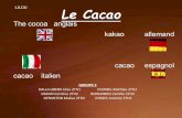 LILOU Le Cacao - Hôtellerie-Restauration · Les principaux exportateurs de cacao sont quasiment les mêmes que les producteurs à l’exception du résil et de la Malaisie qui font