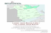 Lake Lac Lower Jack Burns - New BrunswickLower Jack Burns Lake / Lac Lower Jack Burns Restigouch County / Comté de Restigouche Chaleur Recreational Fishing Area / Zone de Pêche Rêcrêative