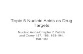 Topic 5 Nucleic Acids as Drug TargetsPart 3: Section 7.3 (Drugs acting on RNA) 4.Drugs Acting On rRNA - Antibiotics 5.Drugs Acting On mRNA - Antisense Therapy - siRNA 6.Drugs related
