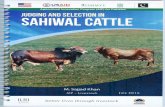 2 Judging and Selection in Sahiwal Cattleuaf.edu.pk/oubm/Files/books/Sahiwal cattle - Judging and Selection.pdfJudging and Selection in Sahiwal Cattle Acknowledgment Judging and examining