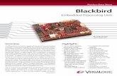 Product Data Sheet Blackbird - versalogic.comApplication-Specific Testing And more – over voltage protection, RF noise filtering, and transient voltage protection, to provide enhanced