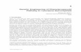 Genetic Engineering of Phenylpropanoid Pathway in …cdn.intechopen.com/pdfs/25752/InTech-Genetic_engineering_of_phenylpropanoid_pathway_in...Genetic Engineering of Phenylpropanoid